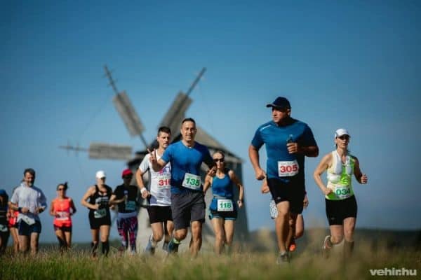 tés3 TÉS 21k Don Quijote - Image 1
